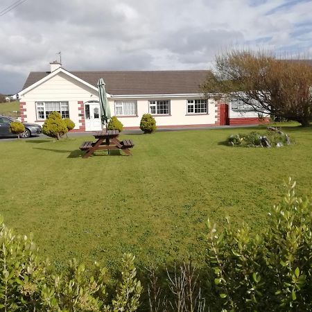Slaney House Bed And Breakfast 拉辛赫 外观 照片